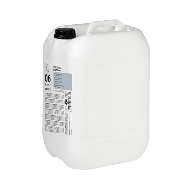 GARRAFA CHAMPU 06 EVERYDAY REFRESCANTE 10LT PURING